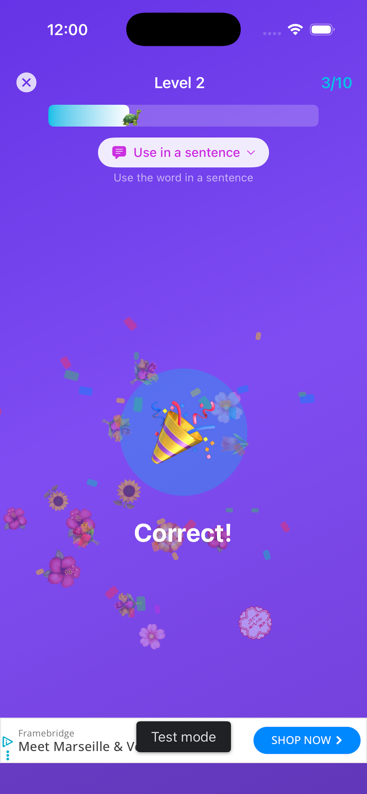 SpellFlare Correct Answer